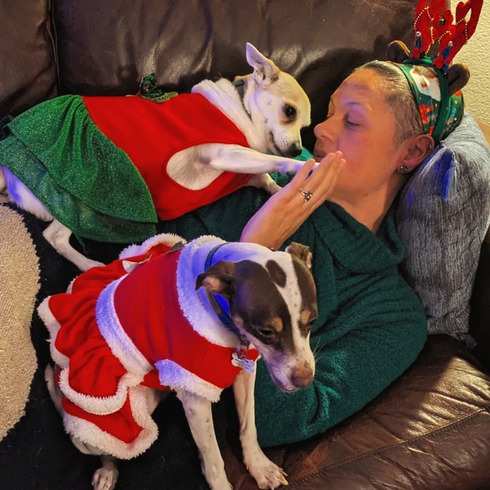 Luxury bags, wallets, and clothing